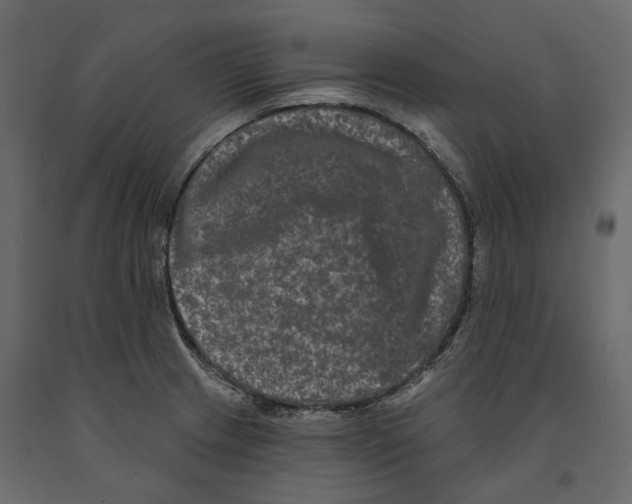 X0000090911233200708270958