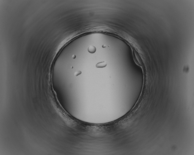 X0000090911234200708270958