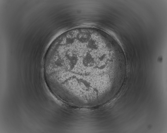 X0000090911235200708270958