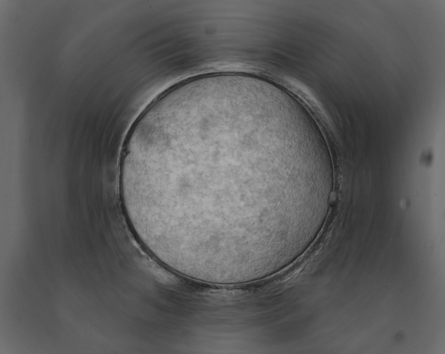 X0000090911236200708270958