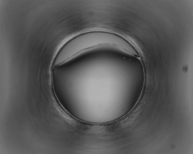 X0000090911238200708270958