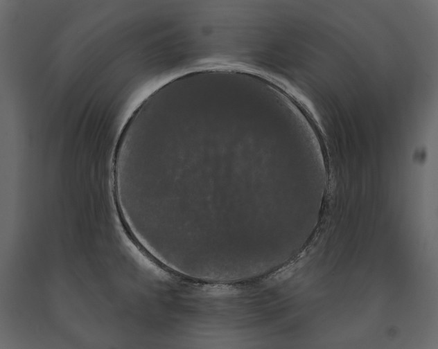 X0000090911239200708270958