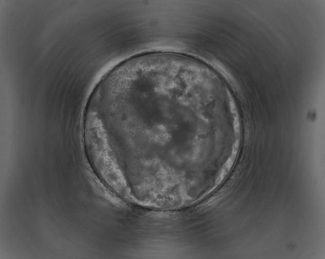 X0000090911240200708270958