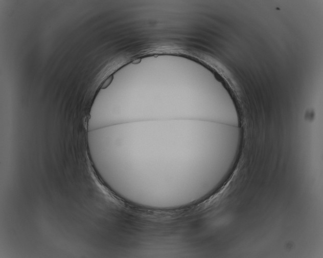 X0000090911241200708270958