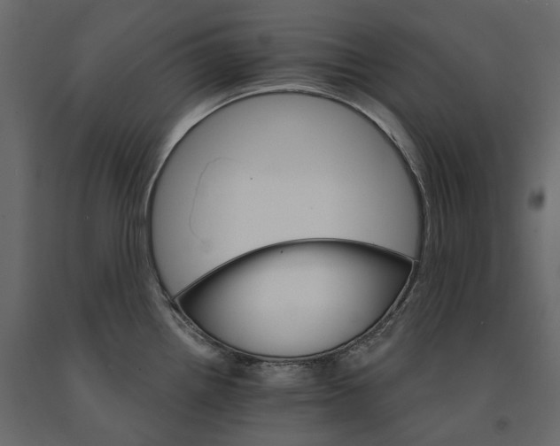 X0000090911242200708270958