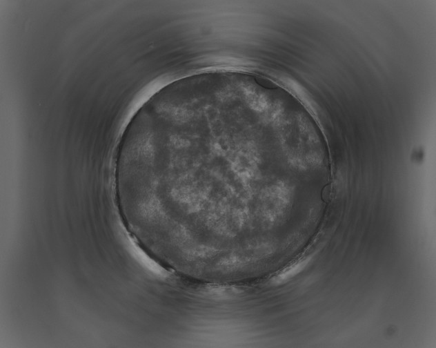 X0000090911243200708270958