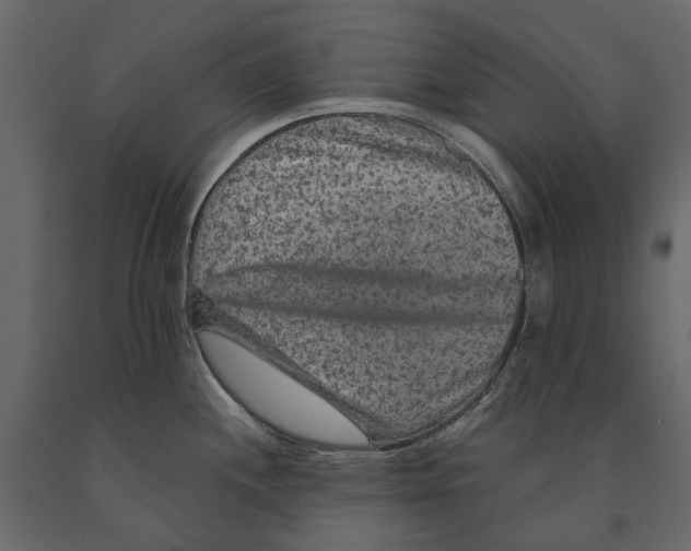 X0000090911244200708270958