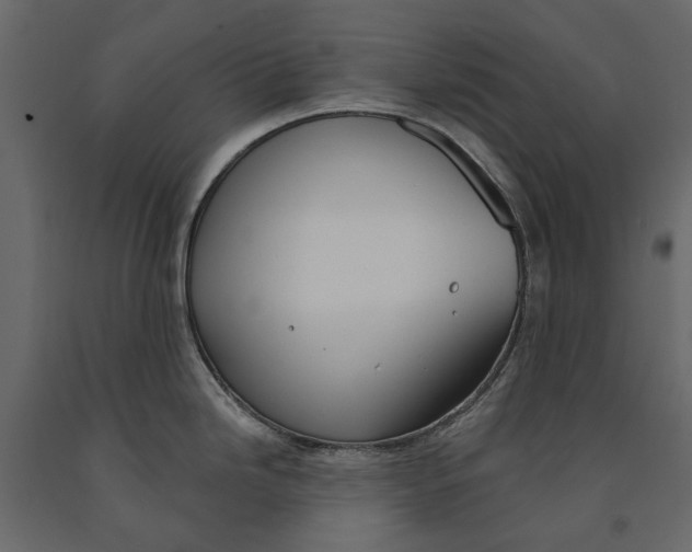 X0000090911246200708270958