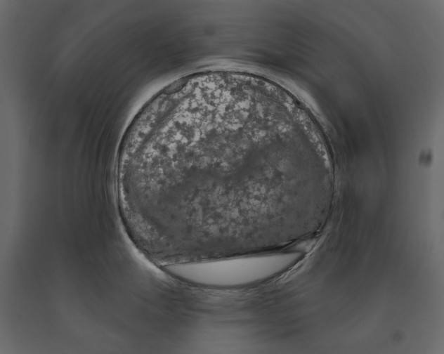 X0000090911247200708270958