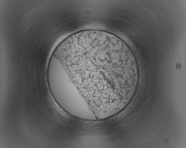 X0000090911248200708270958