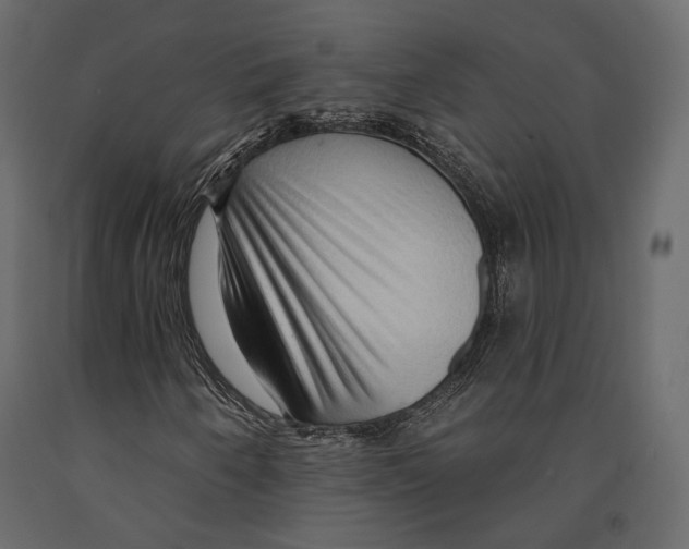 X0000090911250200708270958