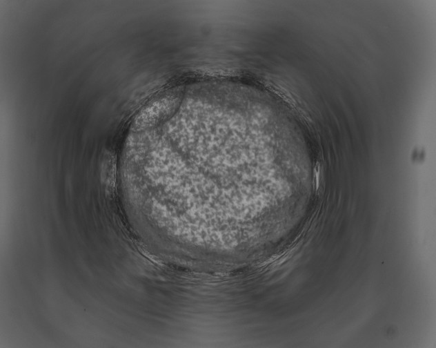 X0000090911251200708270958