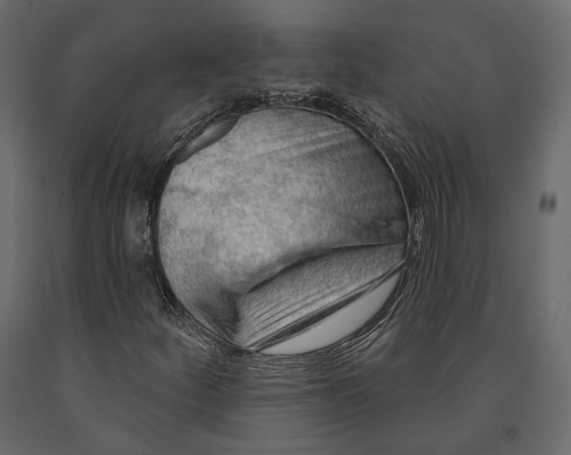 X0000090911252200708270958