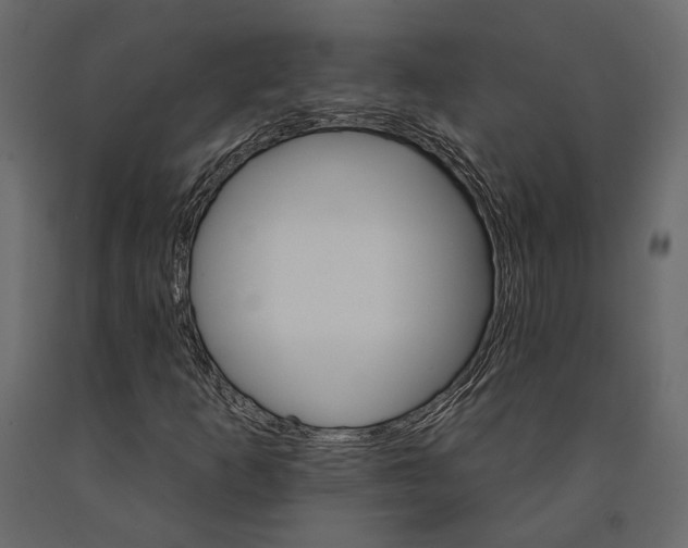 X0000090911253200708270958