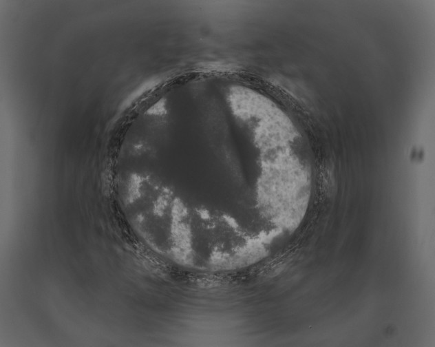 X0000090911254200708270958