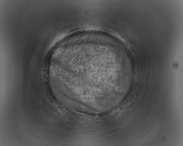 X0000090911255200708270958