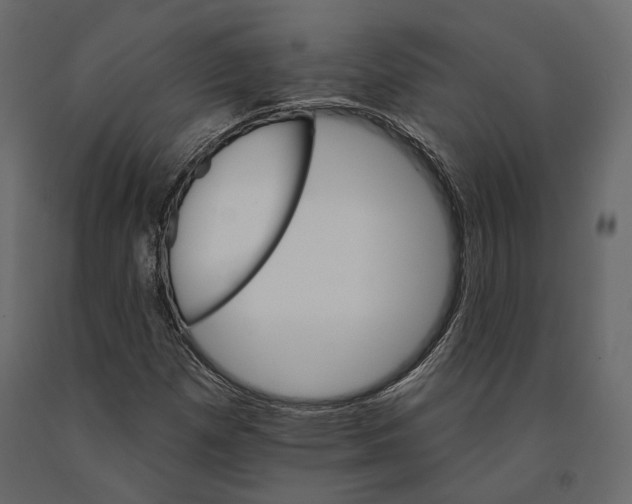 X0000090911257200708270958