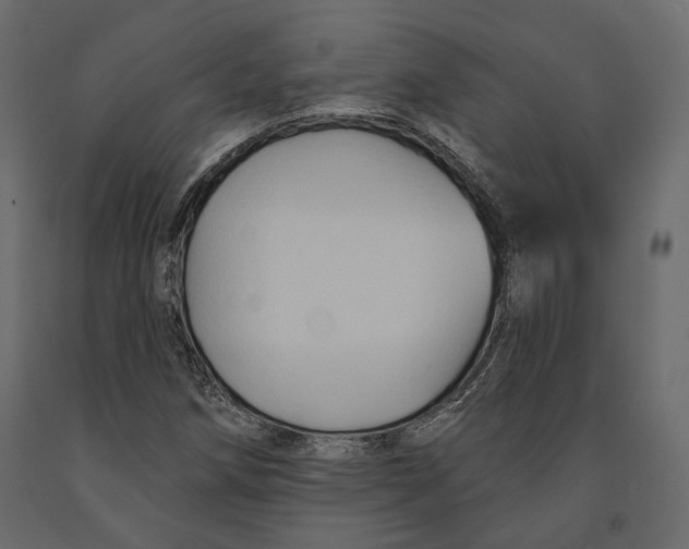 X0000090911258200708270958