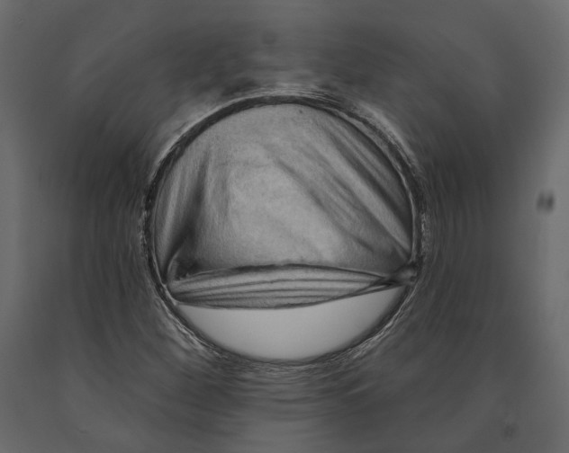 X0000090911260200708270958