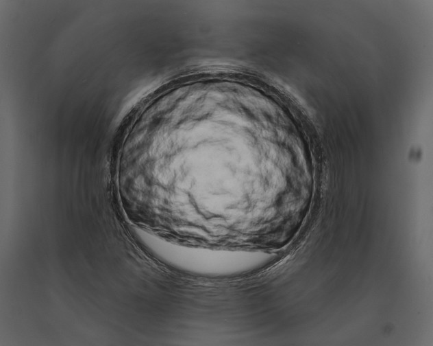 X0000090911261200708270957