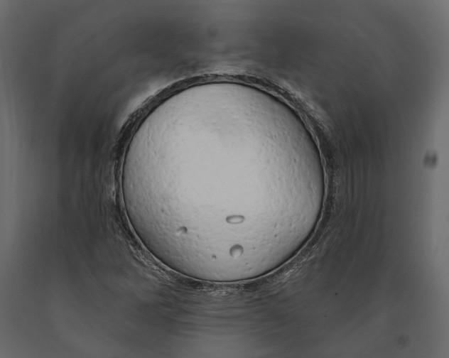 X0000090911262200708270957