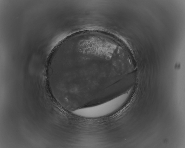 X0000090911263200708270957