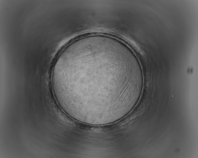 X0000090911264200708270957