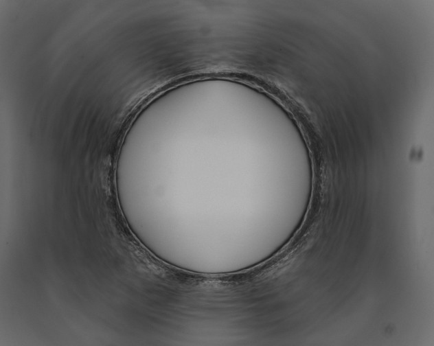 X0000090911265200708270957