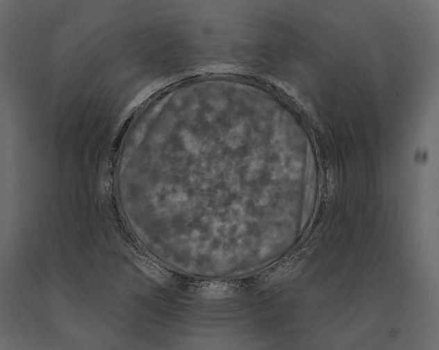 X0000090911266200708270957