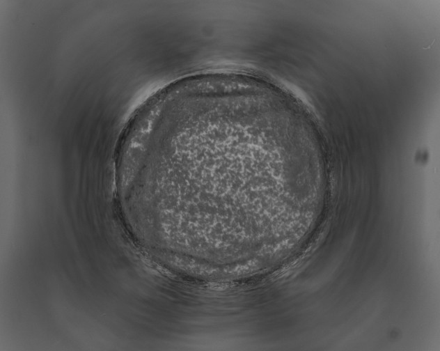 X0000090911267200708270957