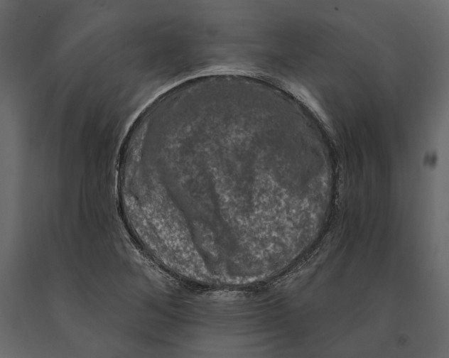 X0000090911268200708270957