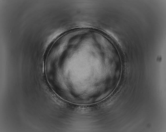 X0000090911269200708270957