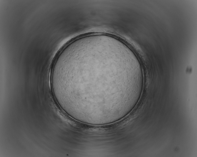 X0000090911272200708270957