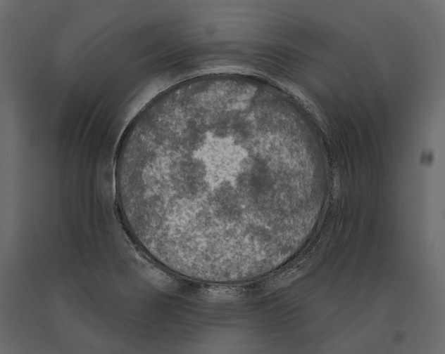 X0000090911274200708270957