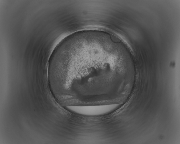 X0000090911275200708270957