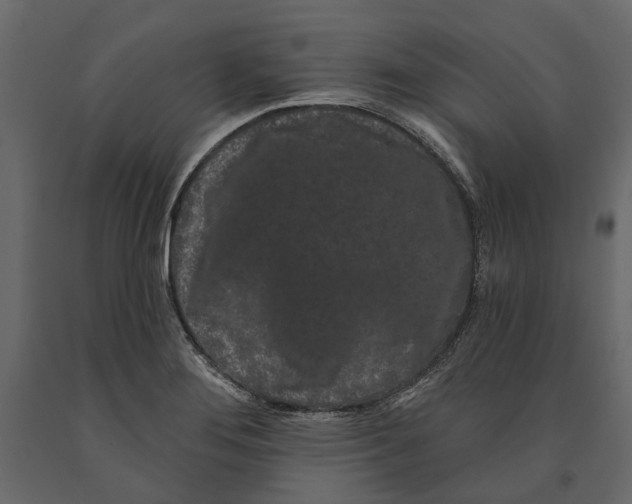 X0000090911276200708270957