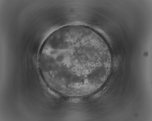 X0000090911278200708270957