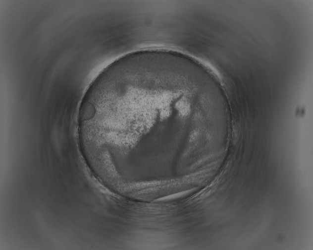 X0000090911279200708270957