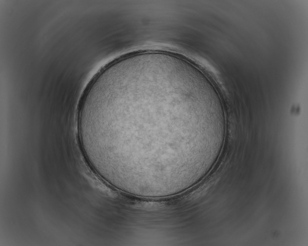 X0000090911280200708270957