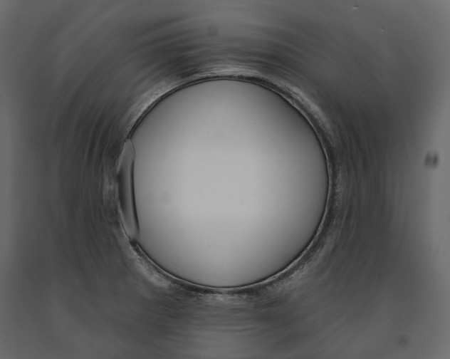 X0000090911281200708270957