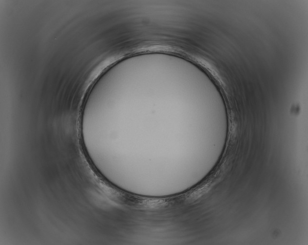 X0000090911282200708270957