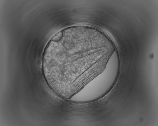 X0000090911284200708270957