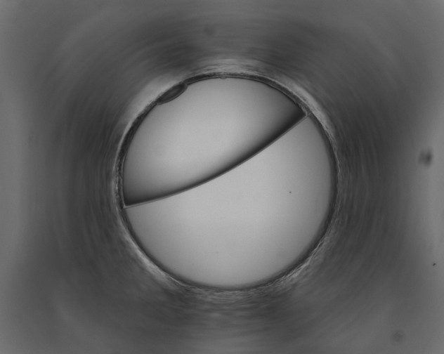 X0000090911285200708270957