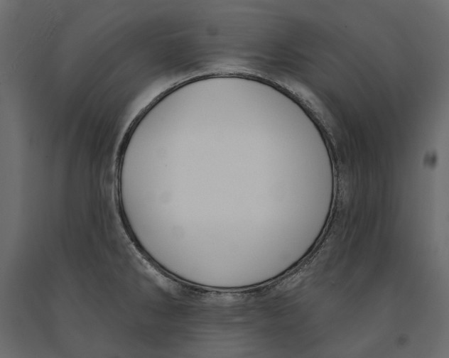 X0000090911286200708270957