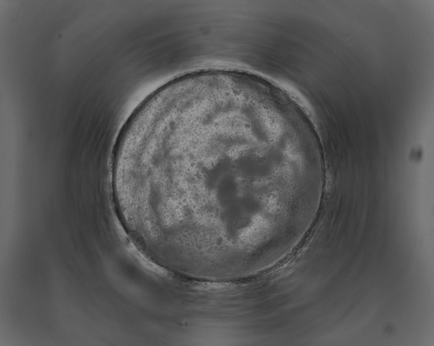 X0000090911287200708270957