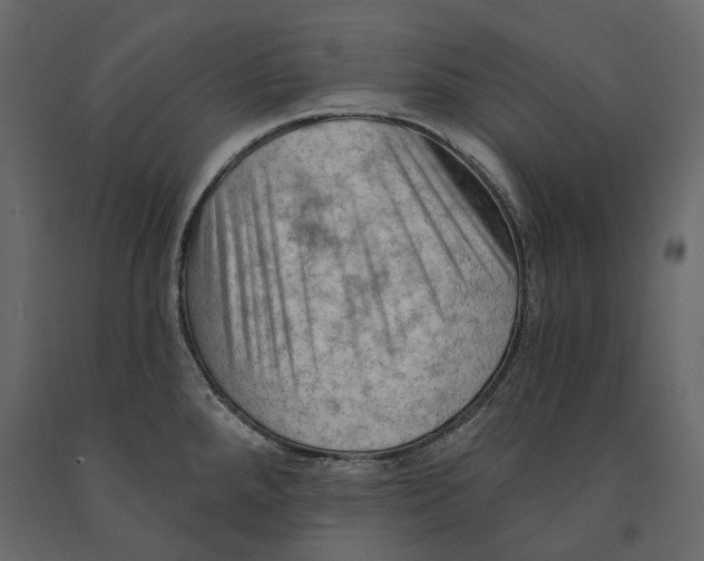 X0000090911288200708270957