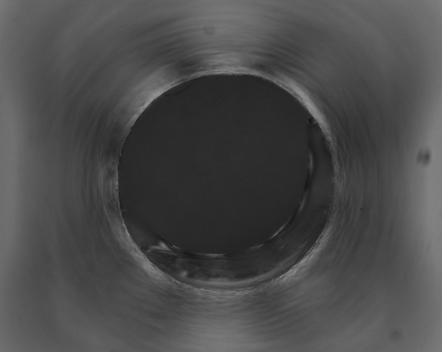 X0000090911289200708270957