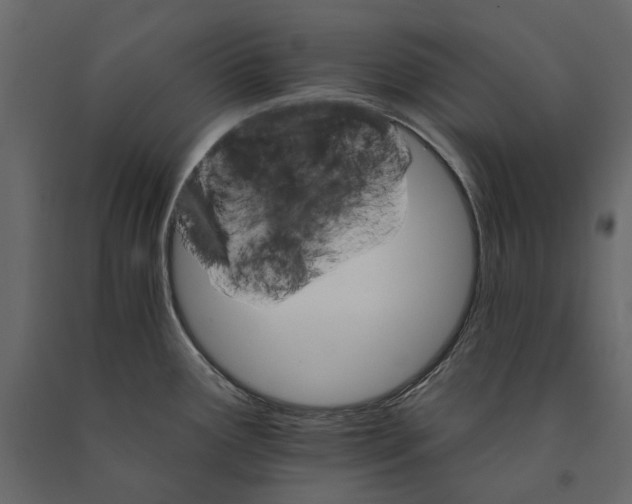 X0000090911291200708270957