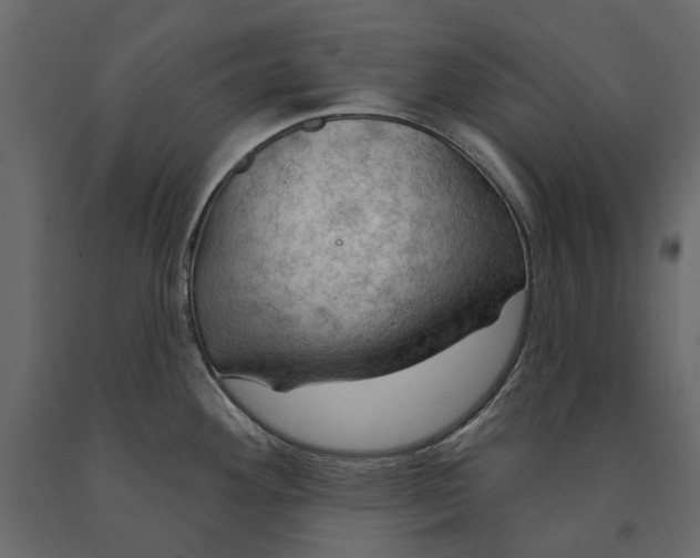 X0000090911292200708270957