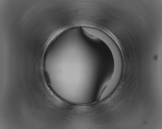 X0000090911293200708270957